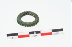 Foto von Bronzering (NHMW-PRAE-026640)